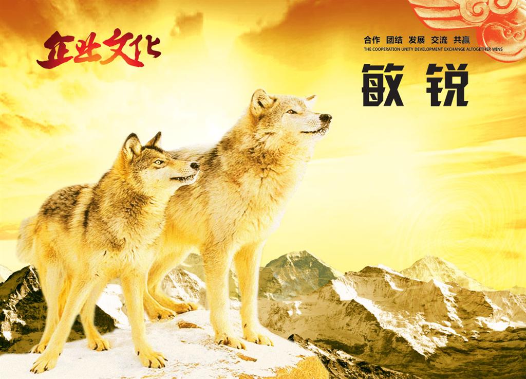 漢斯頓教你如何做一個(gè)合格的加盟商