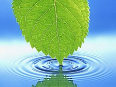 漢斯頓凈水專家 教你正確認(rèn)識純水與凈水