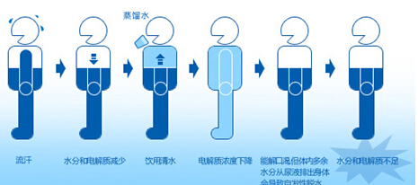 水與人體健康小知識 你的身體缺水嗎？